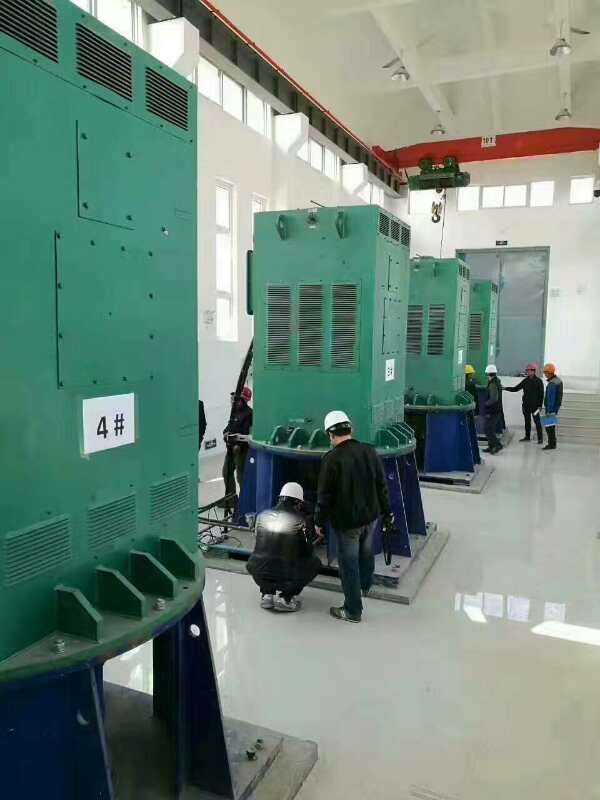 宁津某污水处理厂使用我厂的立式高压电机安装现场