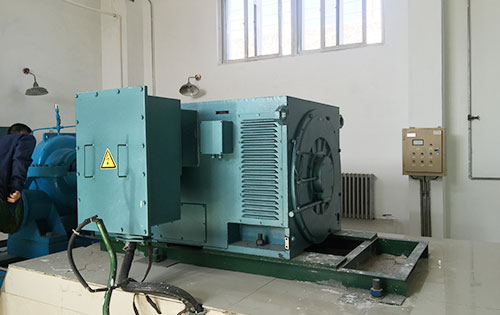 宁津某水电站工程主水泵使用我公司高压电机